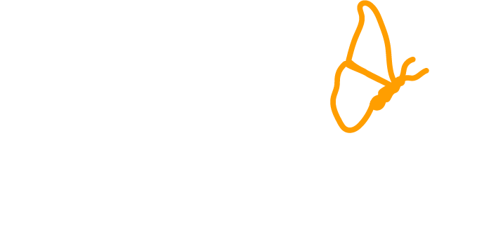 Ally4Health